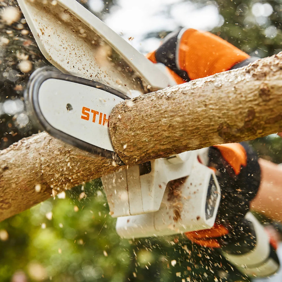 STIHL GTA 26 Cordless pruner (Set)